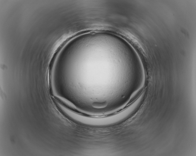 X0000090921275200708061535