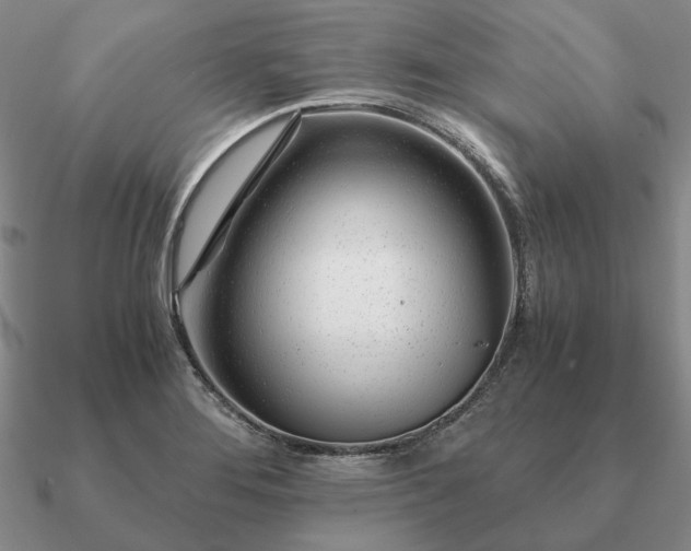 X0000090921276200708061535