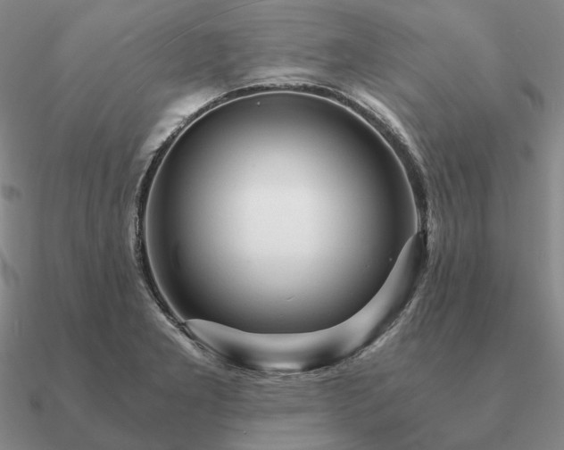 X0000090921277200708061535