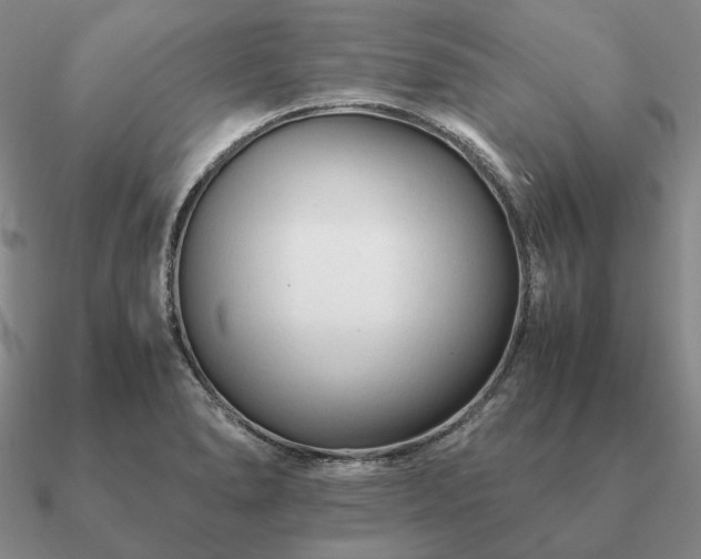 X0000090921278200708061535