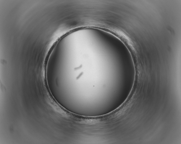 X0000090921280200708061535
