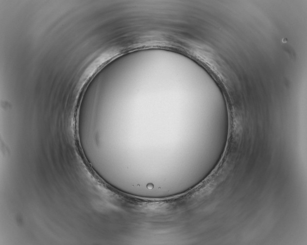 X0000090921282200708061535