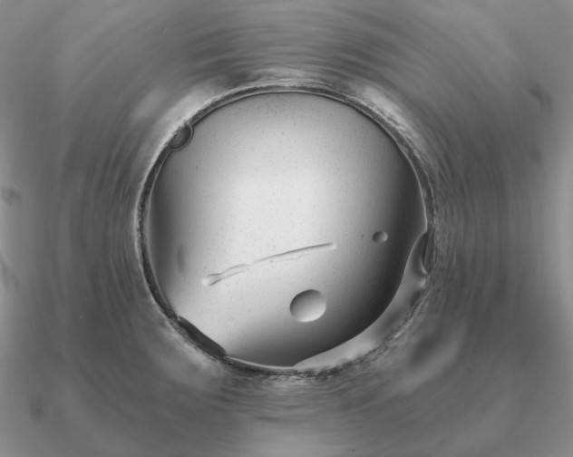 X0000090921283200708061535