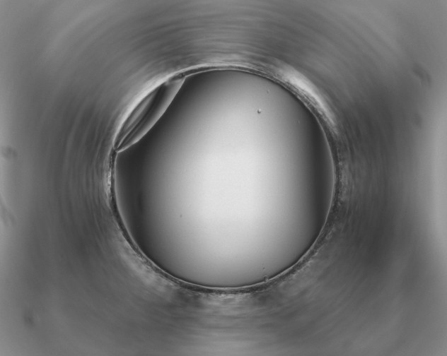 X0000090921284200708061535
