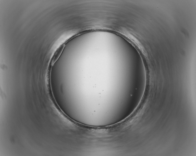 X0000090921285200708061535