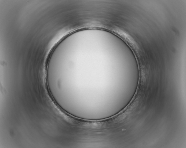 X0000090921286200708061535