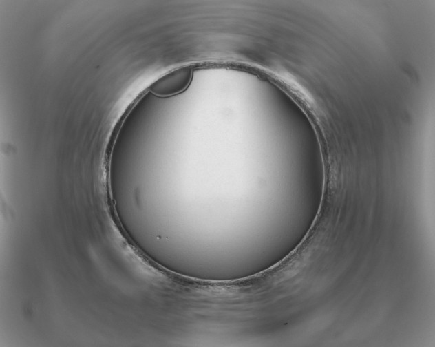 X0000090921287200708061535