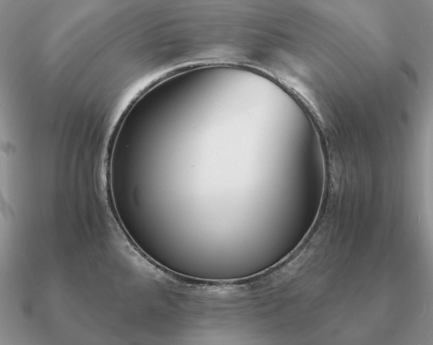 X0000090921288200708061535