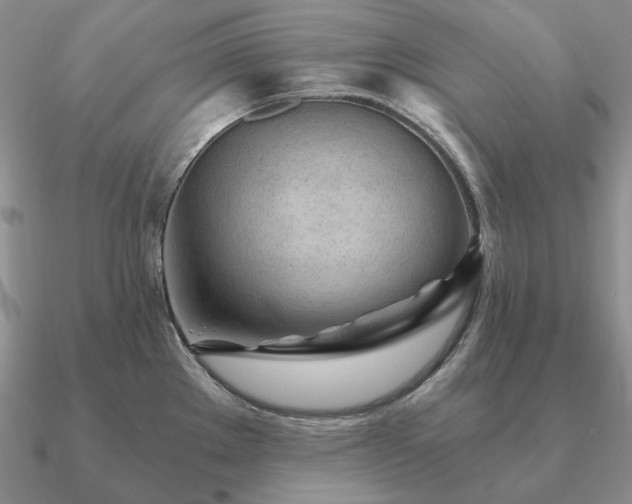 X0000090921289200708061535