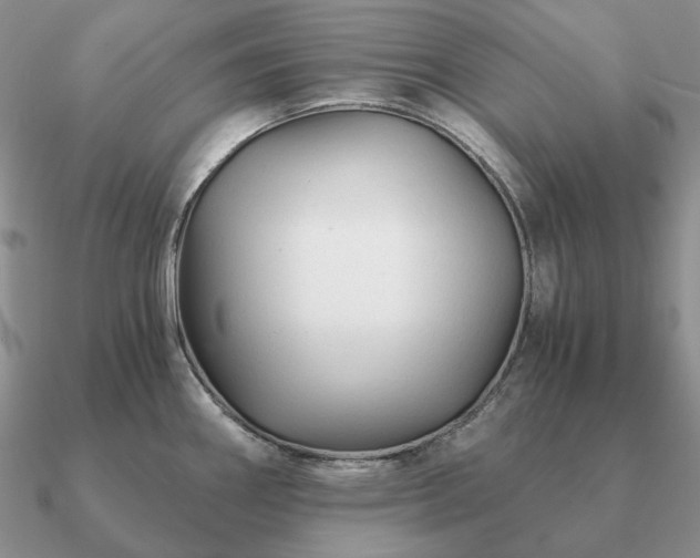 X0000090921290200708061535
