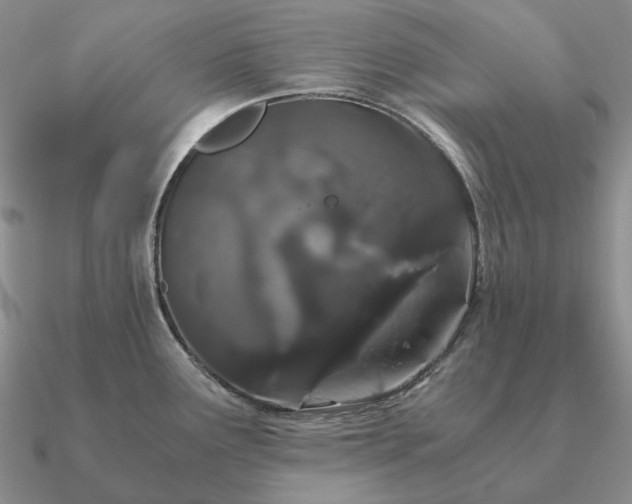 X0000090921291200708061535