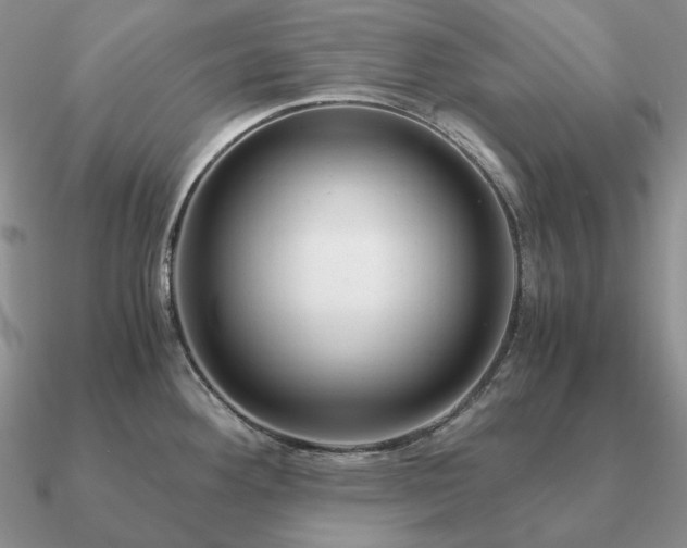 X0000090921292200708061535