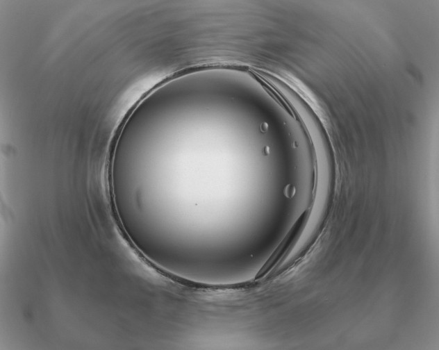 X0000090921293200708061535