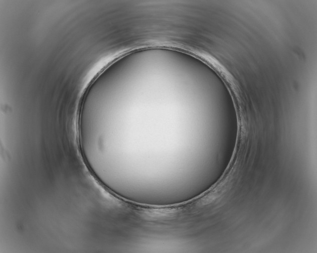 X0000090921294200708061535
