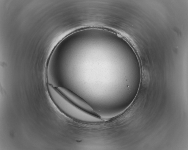 X0000090921295200708061535
