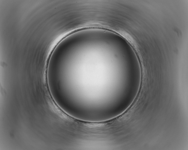 X0000090921296200708061535