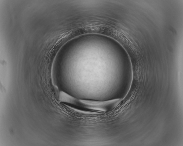 X0000090921297200708061534