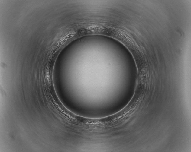 X0000090921298200708061534