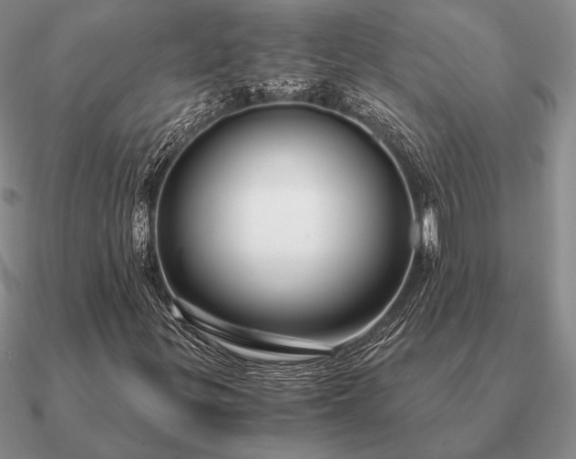 X0000090921299200708061534