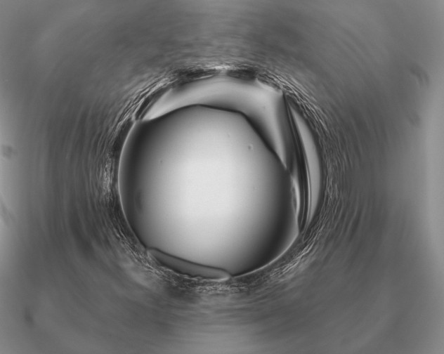 X0000090921300200708061534
