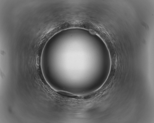 X0000090921301200708061534