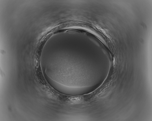 X0000090921303200708061534