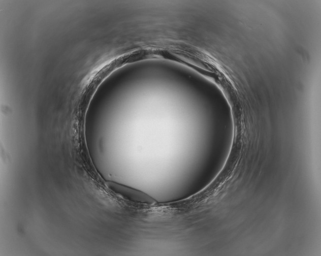 X0000090921304200708061534