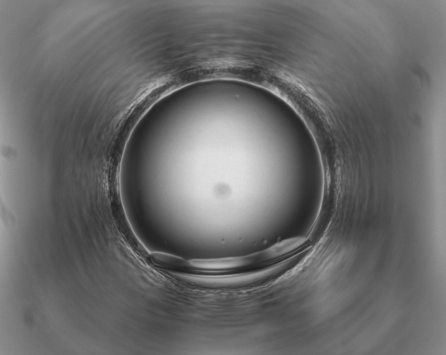X0000090921305200708061534