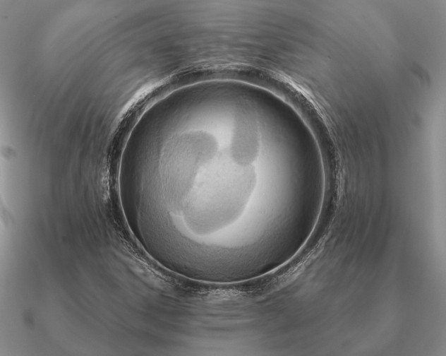 X0000090921306200708061534