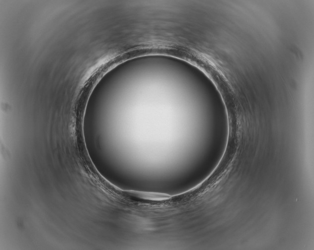 X0000090921307200708061534