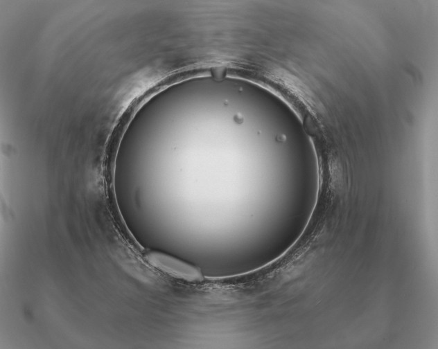 X0000090921308200708061534