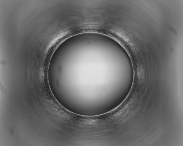 X0000090921309200708061534