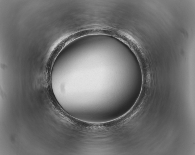X0000090921310200708061534