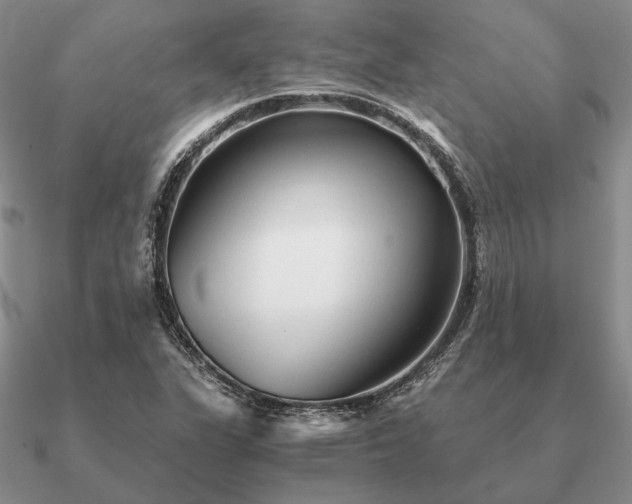 X0000090921311200708061534