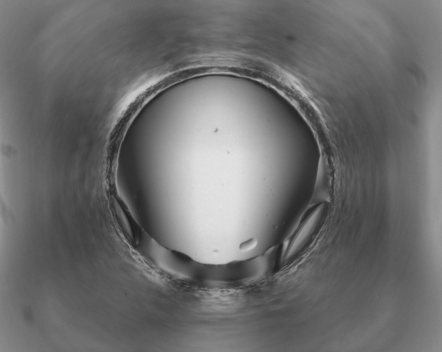 X0000090921312200708061534