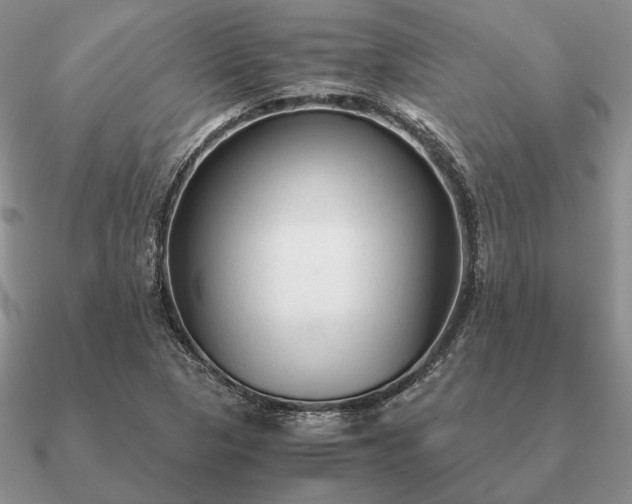 X0000090921313200708061534