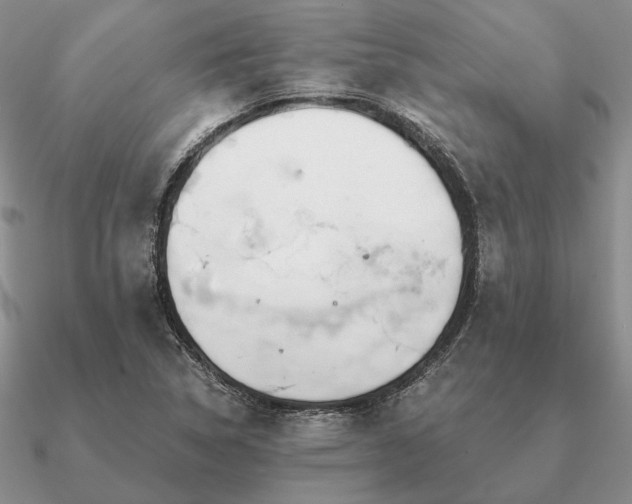 X0000090921314200708061534