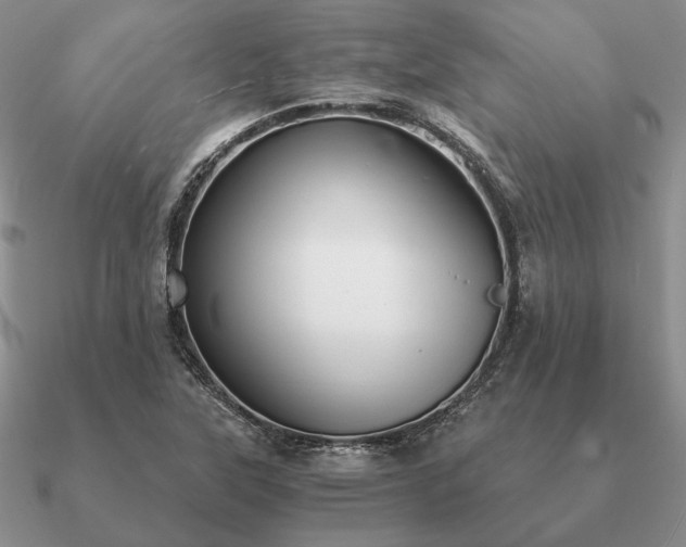 X0000090921315200708061534