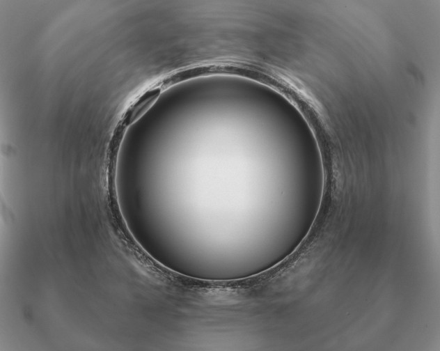 X0000090921316200708061534