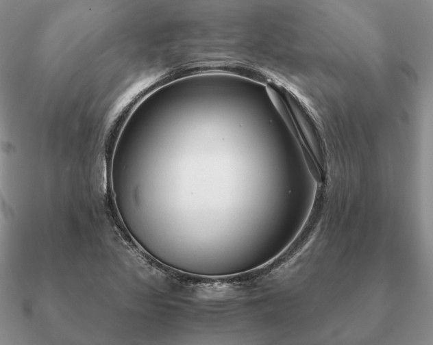 X0000090921317200708061534