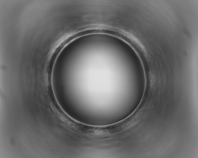 X0000090921318200708061534