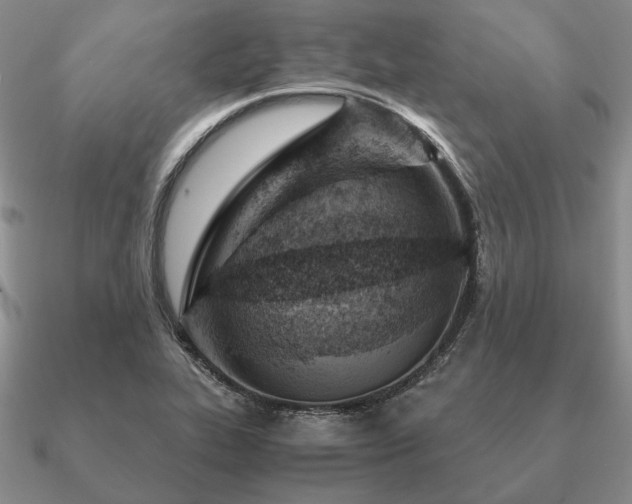 X0000090921319200708061534