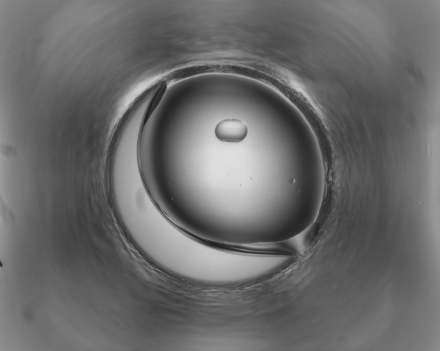 X0000090921320200708061535