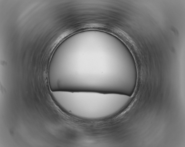 X0000090921321200708061535