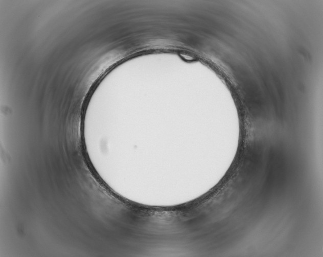 X0000090921322200708061535