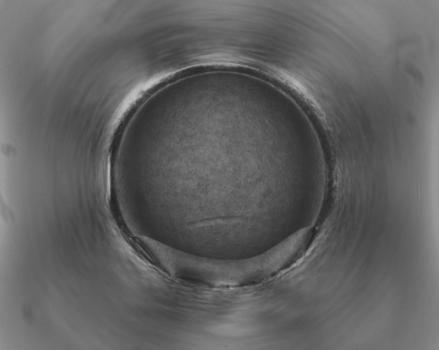 X0000090921323200708061535