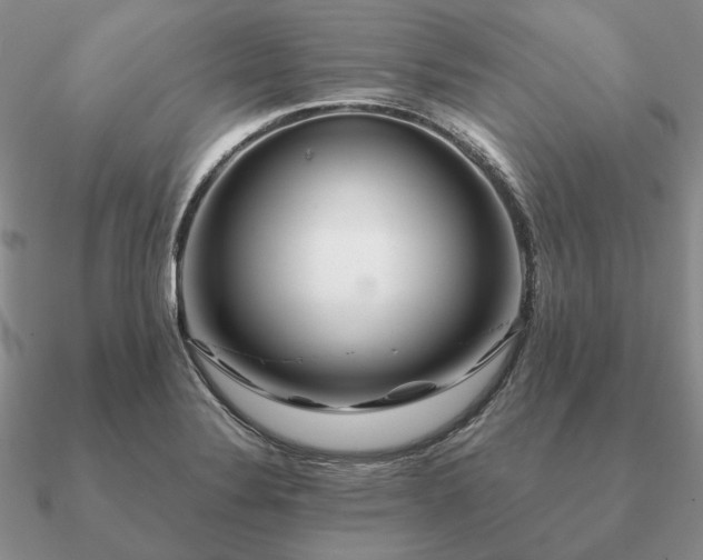 X0000090921324200708061535