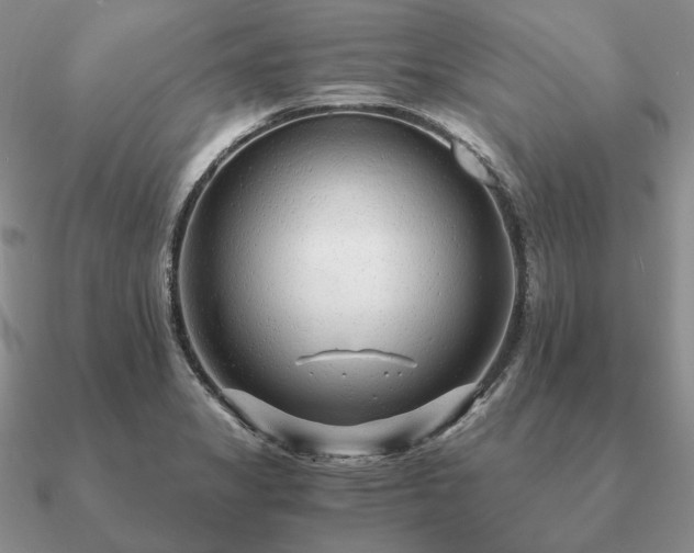 X0000090921325200708061535