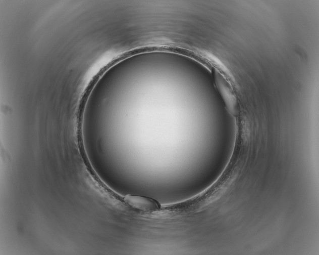 X0000090921326200708061535