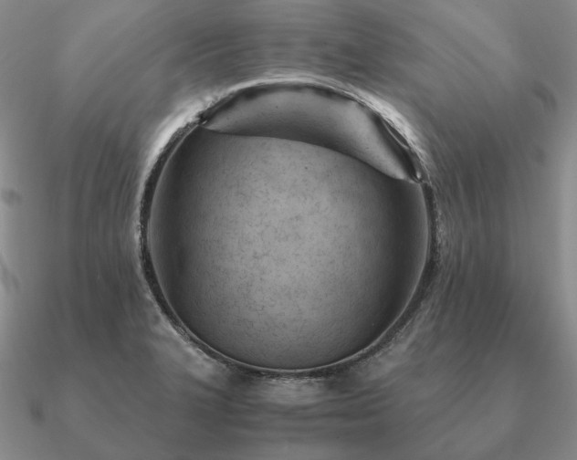 X0000090921327200708061535